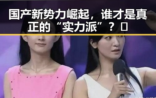 国产新势力崛起，谁才是真正的“实力派”？🔥