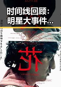 时间线回顾：明星大事件背后的故事与变迁